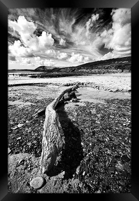 Driftwood Framed Print by Steve Purnell