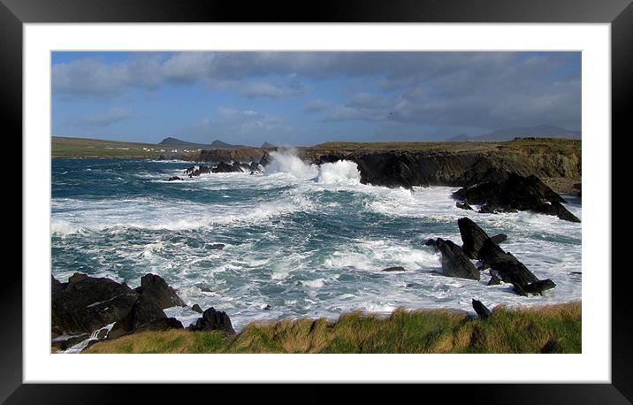 Wild Sea at Clogher Head Framed Mounted Print by barbara walsh