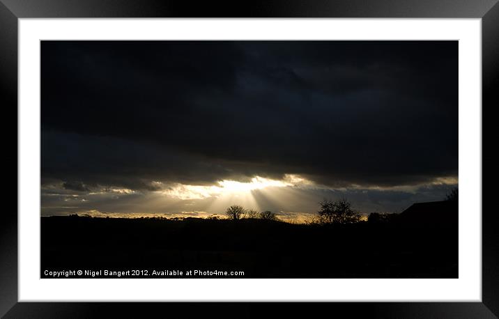 Winter Sun Framed Mounted Print by Nigel Bangert