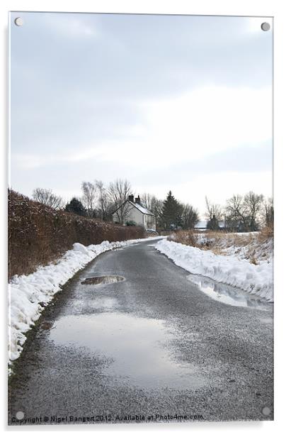 Winter Country Lane Acrylic by Nigel Bangert