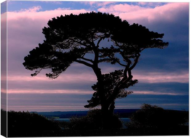 Silhouette Tree Canvas Print by Louise Godwin