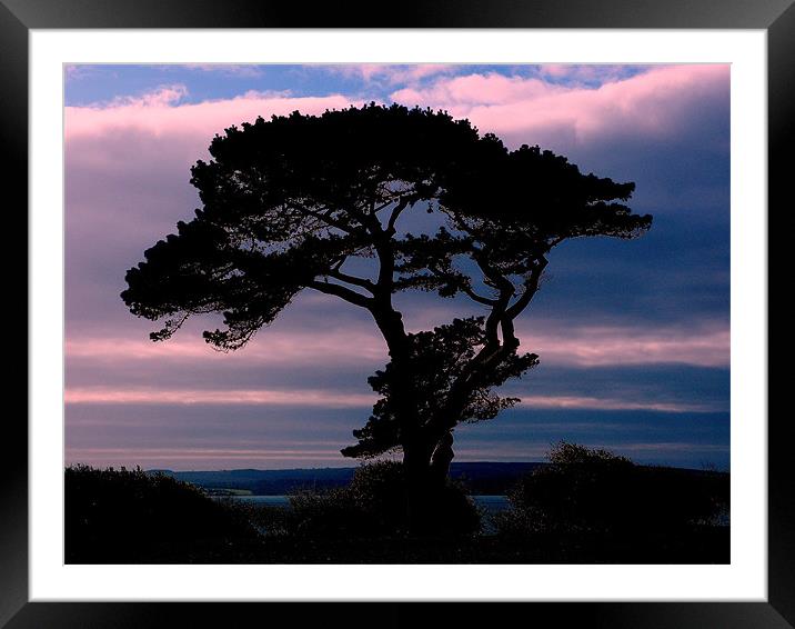 Silhouette Tree Framed Mounted Print by Louise Godwin
