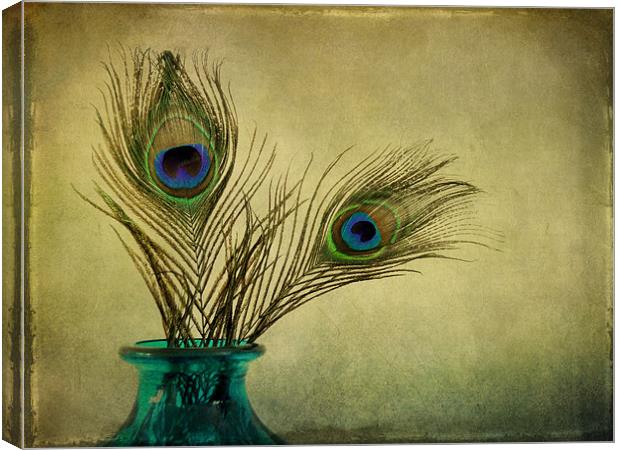 peacock feathers and vase Canvas Print by Heather Newton
