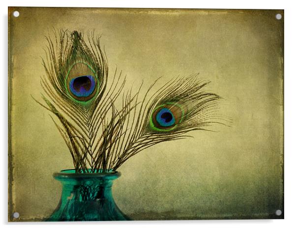 peacock feathers and vase Acrylic by Heather Newton