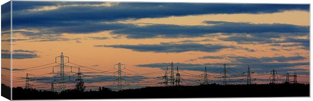 Panoramic Pylons Canvas Print by Louise Godwin