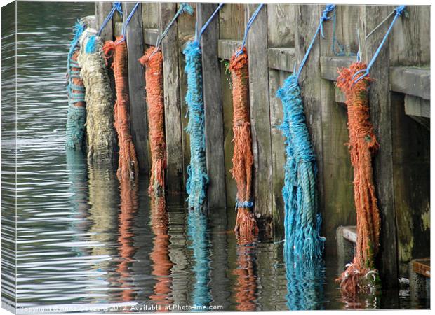 Ropes on a quay Canvas Print by Anne Couzens