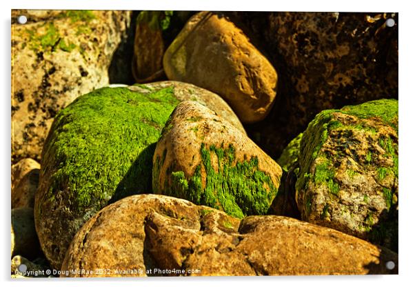 On a stone Acrylic by Doug McRae