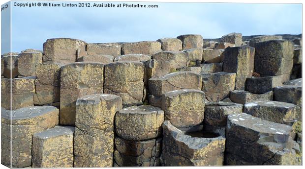 The Giants causeway Canvas Print by William Linton
