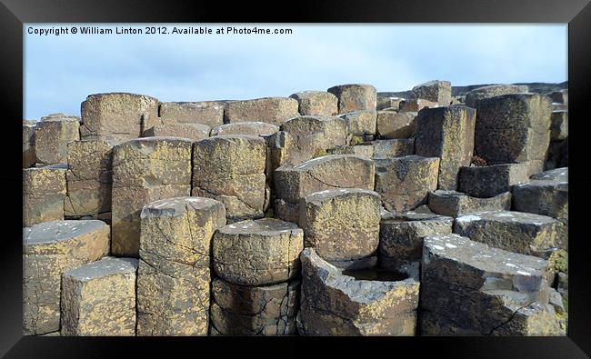 The Giants causeway Framed Print by William Linton