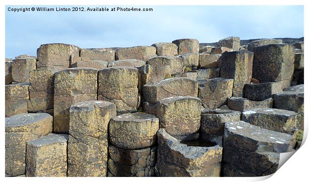 The Giants causeway Print by William Linton