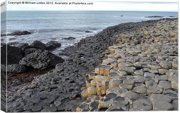 The Giants causeway 1 Canvas Print by William Linton