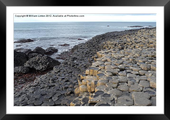 The Giants causeway 1 Framed Mounted Print by William Linton