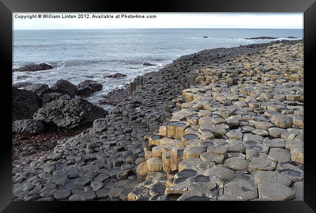 The Giants causeway 1 Framed Print by William Linton