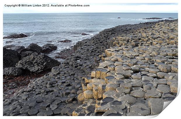 The Giants causeway 1 Print by William Linton