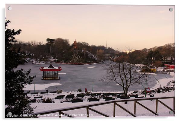 A View of Peasholm Park in the Snow Acrylic by Elizabeth Wilson-Stephen