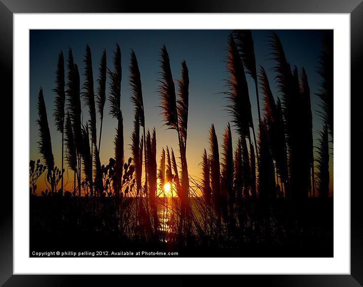 Glowing Grass. Framed Mounted Print by camera man