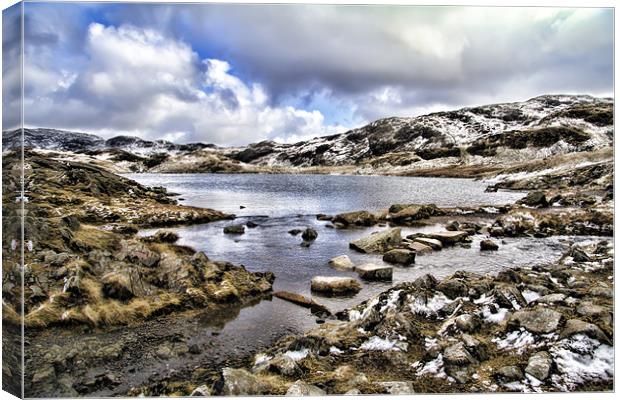 Sprinkling Tarn Canvas Print by Northeast Images