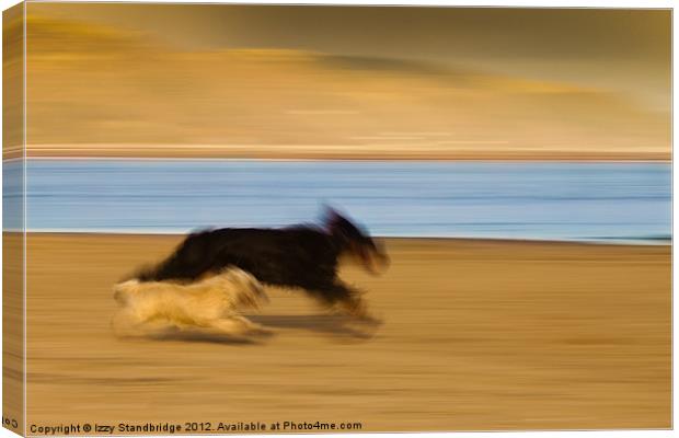 Dogs on the beach, panning Canvas Print by Izzy Standbridge