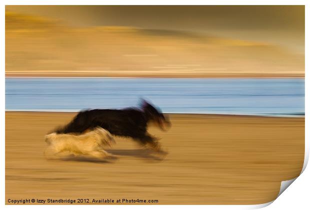 Dogs on the beach, panning Print by Izzy Standbridge