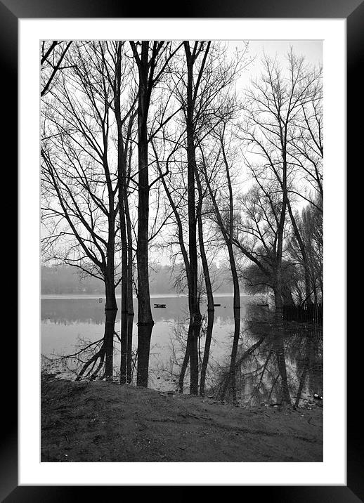 Danube inundation Framed Mounted Print by Ferenc Kalmar