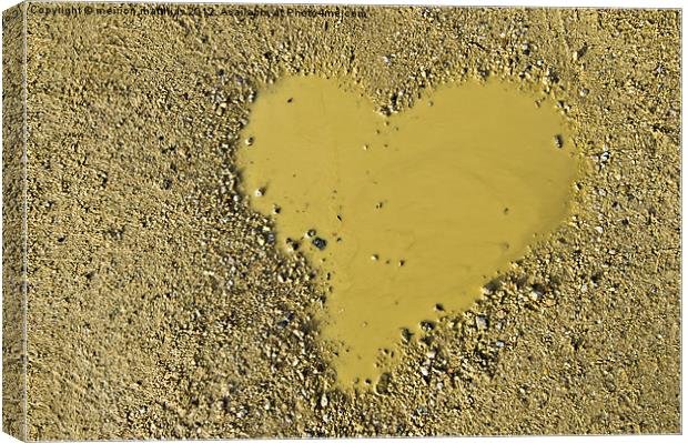 love is a muddy puddle Canvas Print by meirion matthias