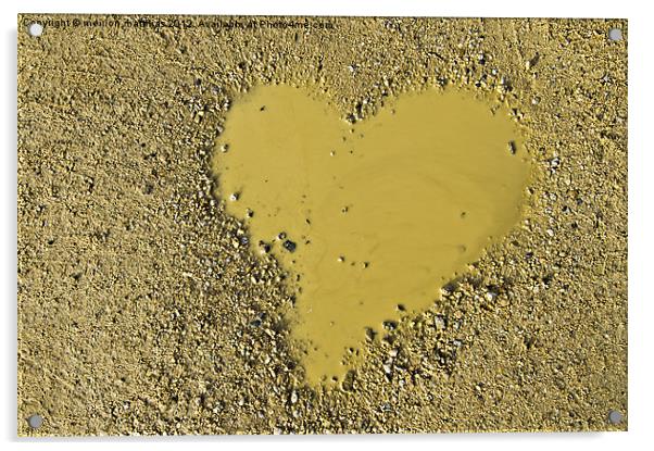 love is a muddy puddle Acrylic by meirion matthias