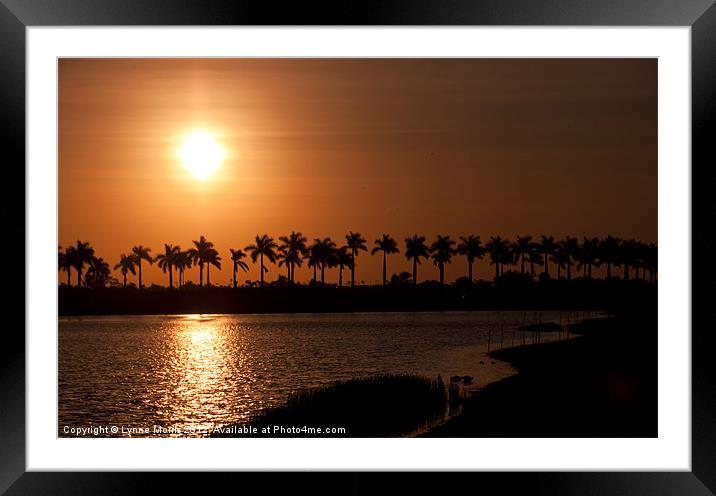 Palm Tree Sunrise Framed Mounted Print by Lynne Morris (Lswpp)