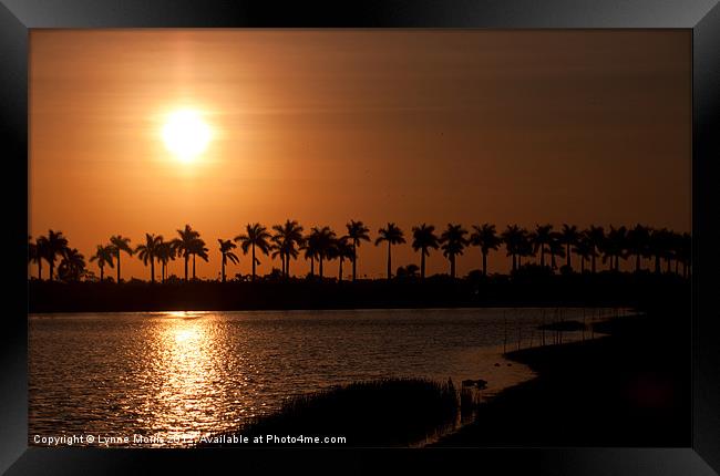 Palm Tree Sunrise Framed Print by Lynne Morris (Lswpp)