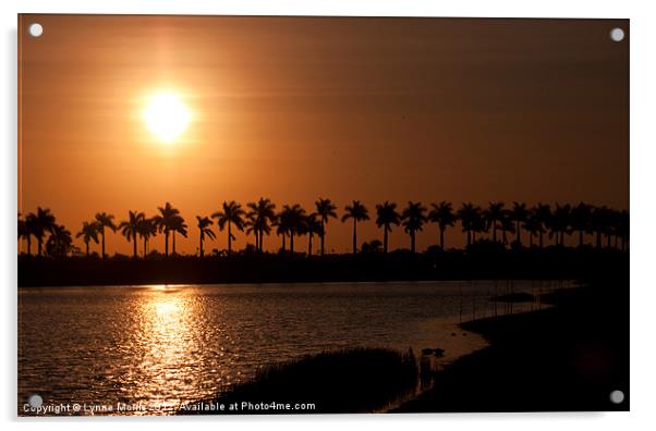 Palm Tree Sunrise Acrylic by Lynne Morris (Lswpp)