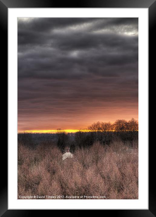 Forest Sunrise Framed Mounted Print by David Tinsley