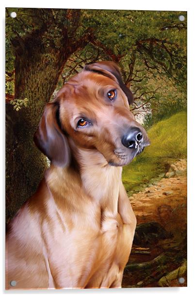 Ridgeback Woodland Acrylic by Julie Hoddinott