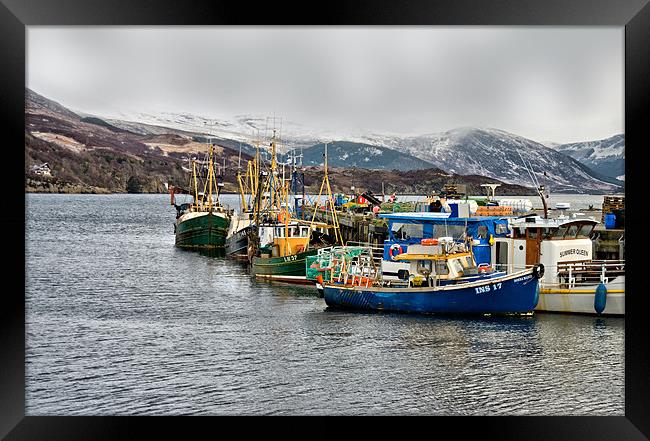 A Wintry Day at Ullapool Harbour Framed Print by Jacqi Elmslie