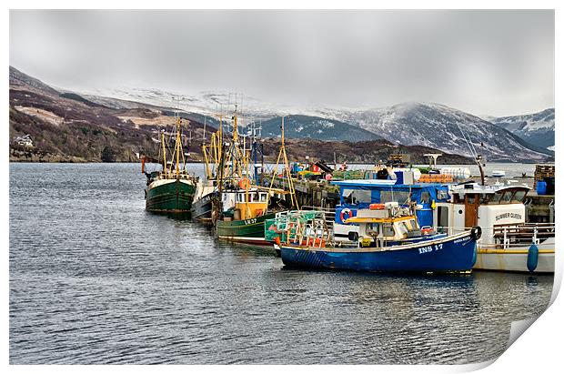 A Wintry Day at Ullapool Harbour Print by Jacqi Elmslie