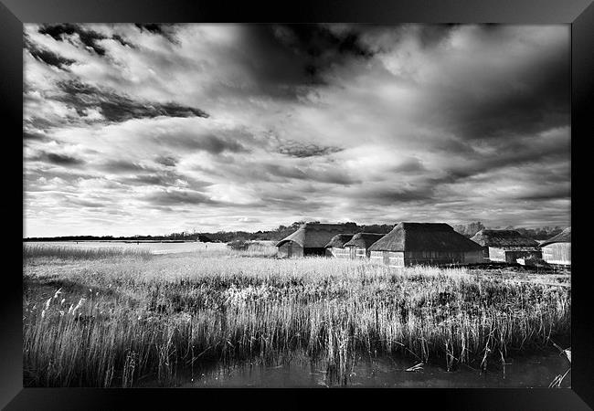 Boat houses at Hickling Framed Print by Stephen Mole