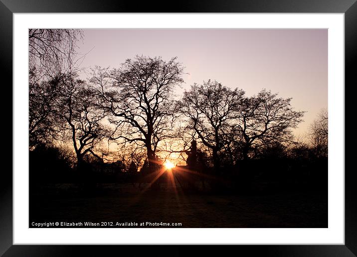 Sunset Through Trees Framed Mounted Print by Elizabeth Wilson-Stephen