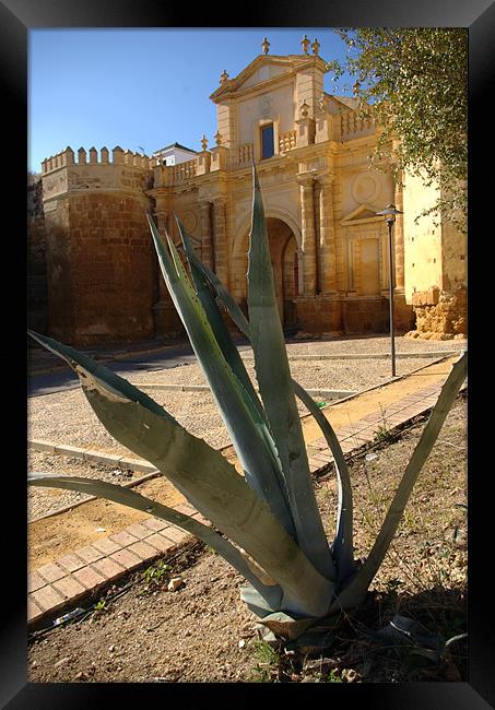 The gate of Cordoba Framed Print by Jose Manuel Espigares Garc