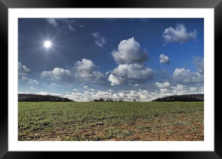 SUNSHINE FIELDS Framed Mounted Print by Rob Toombs