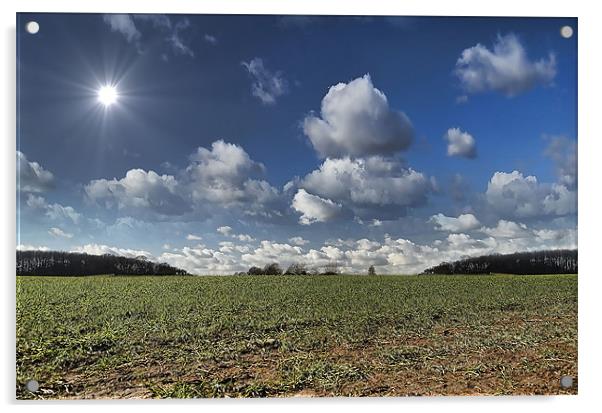 SUNSHINE FIELDS Acrylic by Rob Toombs