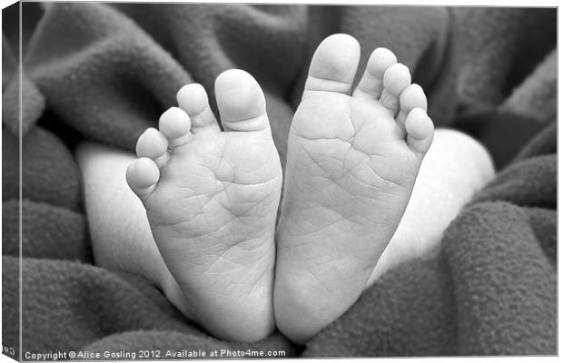 Baby Feet Canvas Print by Alice Gosling