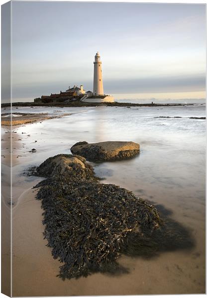 St Mary's Island Canvas Print by Steve Glover