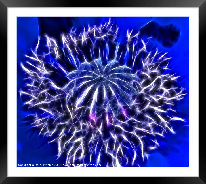 Fractal Blue Poppy Framed Mounted Print by Derek Whitton