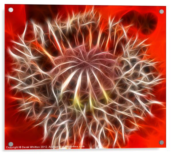 Fractal Red Poppy Acrylic by Derek Whitton