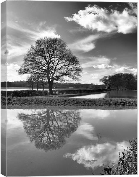 COBHAM FIELD FLOOD Canvas Print by Clive Eariss