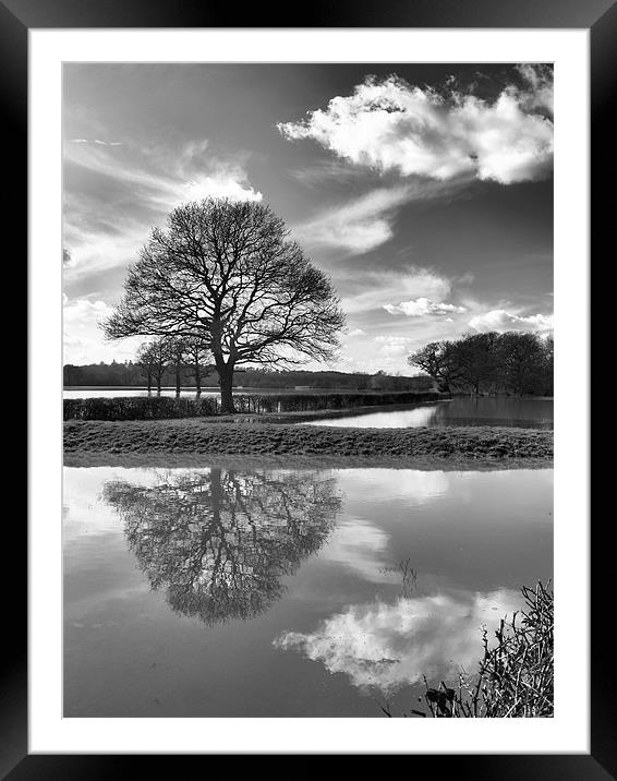 COBHAM FIELD FLOOD Framed Mounted Print by Clive Eariss