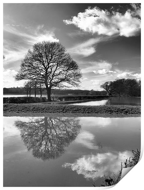 COBHAM FIELD FLOOD Print by Clive Eariss