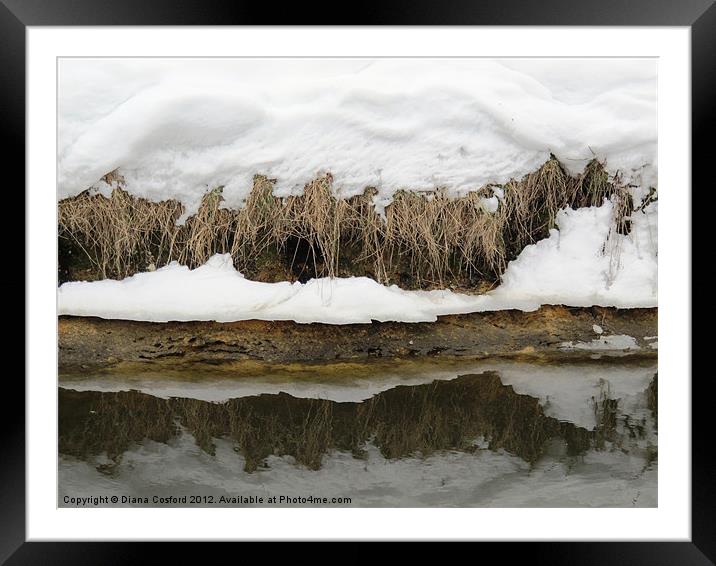 Fens in snow Framed Mounted Print by DEE- Diana Cosford