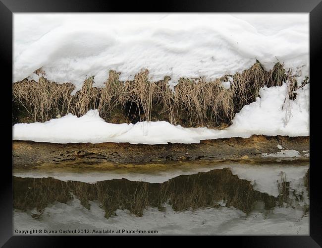 Fens in snow Framed Print by DEE- Diana Cosford