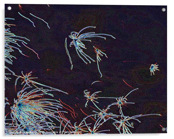 Fourth of July sky in Montana Fireworks Acrylic by Larry Stolle