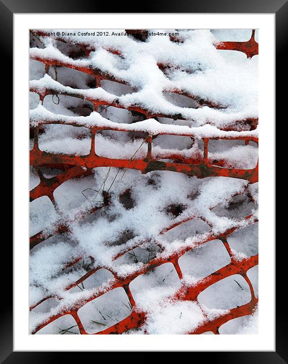 Snow softens everything Framed Mounted Print by DEE- Diana Cosford