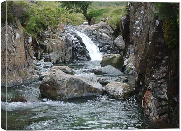 Stockley Ghyll Canvas Print by Dave Parkin